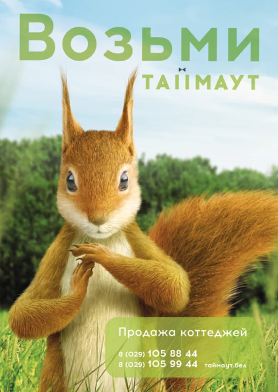 TIMEOUT campaign poster with a squirrel